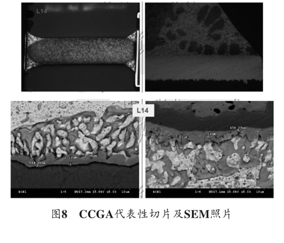 图8 CCGA代表性切片及SEM照片