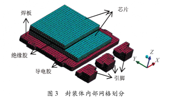 图3  封装体内部网格划分